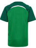 Hummel Shirt "Lead 2.0 Jersey S/S" in Grün