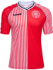 Hummel T-Shirt Dbu 86 Fußball Erwachsene in RED/WHITE