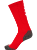 Hummel Low Indoor Socken Hmlpro Erwachsene in TRUE RED/WHITE
