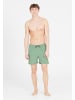 Cruz Shorts Eyemouth in 3138 Green Bay