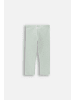 Coccodrillo Leggings mit langem Hosenbein in in Minzfarbe