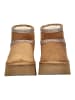 Steve Madden Stiefelette in Tan