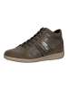 Geox Sneaker in Taupe