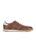 Gabor Sneaker low in braun