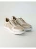 Terry Sneaker low in Beige