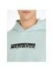 Calvin Klein Sweatshirt in ghost glacier