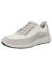 Solidus Sneaker Low in rot
