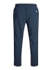 JACK & JONES PLUS Klassische Hosen in Navy Blazer