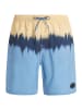 Protest M PRTCAGNES BEACHSHORT in Blau