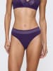 Triumph String Feel of Modal in ROYAL PURPLE