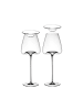 ZIEHER 2er Set Weingläser + Deckel Vision Intense 640 ml transparent in transparent