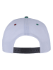  Cayler & Sons Dad Cap in white/mc
