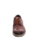 Pikolinos Sneaker in braun