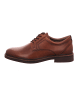 Gabor Eleganter Schnürschuh in braun