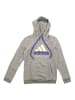 adidas Hoodie Graphic Biathlon in Grau