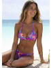 Venice Beach Triangel-Bikini-Top in lila print