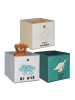 relaxdays 3 x Kinder Aufbewahrungsboxen "Dino" in Bunt - (B)30 x (H)30 x (T)30 cm