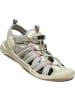 Keen W DRIFT CREEK H2 in Rose
