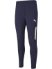 Puma Sporthose "TeamLIGA Training Pants Pro" in Blau