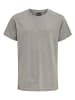 Hummel Hummel T-Shirt Hmlred Kinder in GREY MELANGE