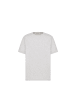 Dior Icon T Shirt Grau