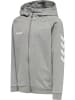 Hummel Hummel Cotton Kapuzenpullover Hmlgo Multisport Kinder in GREY MELANGE