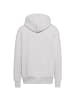 Dickies Hoodie Summerdale in light gray