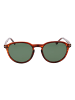 Skechers Männer Sonnenbrille Panto Braun