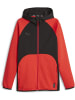 Puma Trainingsjacke "Hoops Team Dime Jacket" in Rot