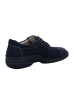 Finn Comfort Schnürschuh in blau