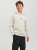 JACK & JONES Junior Kapuzensweatshirt JORVESTERBRO in moonbeam