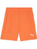 Puma Sporthose "TeamGoal Shorts" in Orange