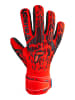 Reusch Torwarthandschuhe Attrakt Freegel Silver in 3333  brig red/futr blu/blck