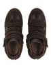 Steve Madden Stiefelette MUSTANG in Braun