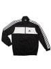 adidas Trainingsanzug Track Suit Entry Knit OH in Schwarz