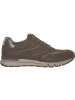 Caprice Schnürschuhe in TAUPE COMB