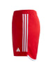 adidas Performance Trainingsshorts Tiro 23 Competition Match in rot