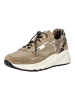 Nero Giardini Sneaker in Beige