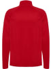 Hummel Trainingsjacke "Core 2.0 Half Zip" in Rot