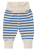 ebbe Hose Shea in Strong blue stripe