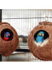 relaxdays 2 x Vogelhaus in Natur