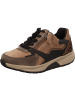 Gabor Sneaker Low in braun
