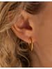 PURELEI Ohrringe Sleeky in Gold