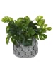 Butlers Blumentopf SKY in Grau