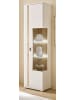 Furn.Design Vitrine weiß matt, Eiche Wotan 55 cm, Vitrinenschrank inklusive Frontbeleuchtung