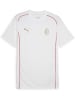 Puma T-Shirt "ACM CasuaLongsleeve Tee" in Weiß