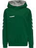 Hummel Hummel Cotton Kapuzenpullover Hmlgo Multisport Kinder in EVERGREEN