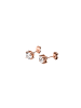 PURELEI Ohrringe Pristine Groß Rosegold