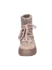 Apple of Eden Stiefelette in taupe