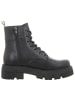 Apple of Eden Stiefeletten in schwarz